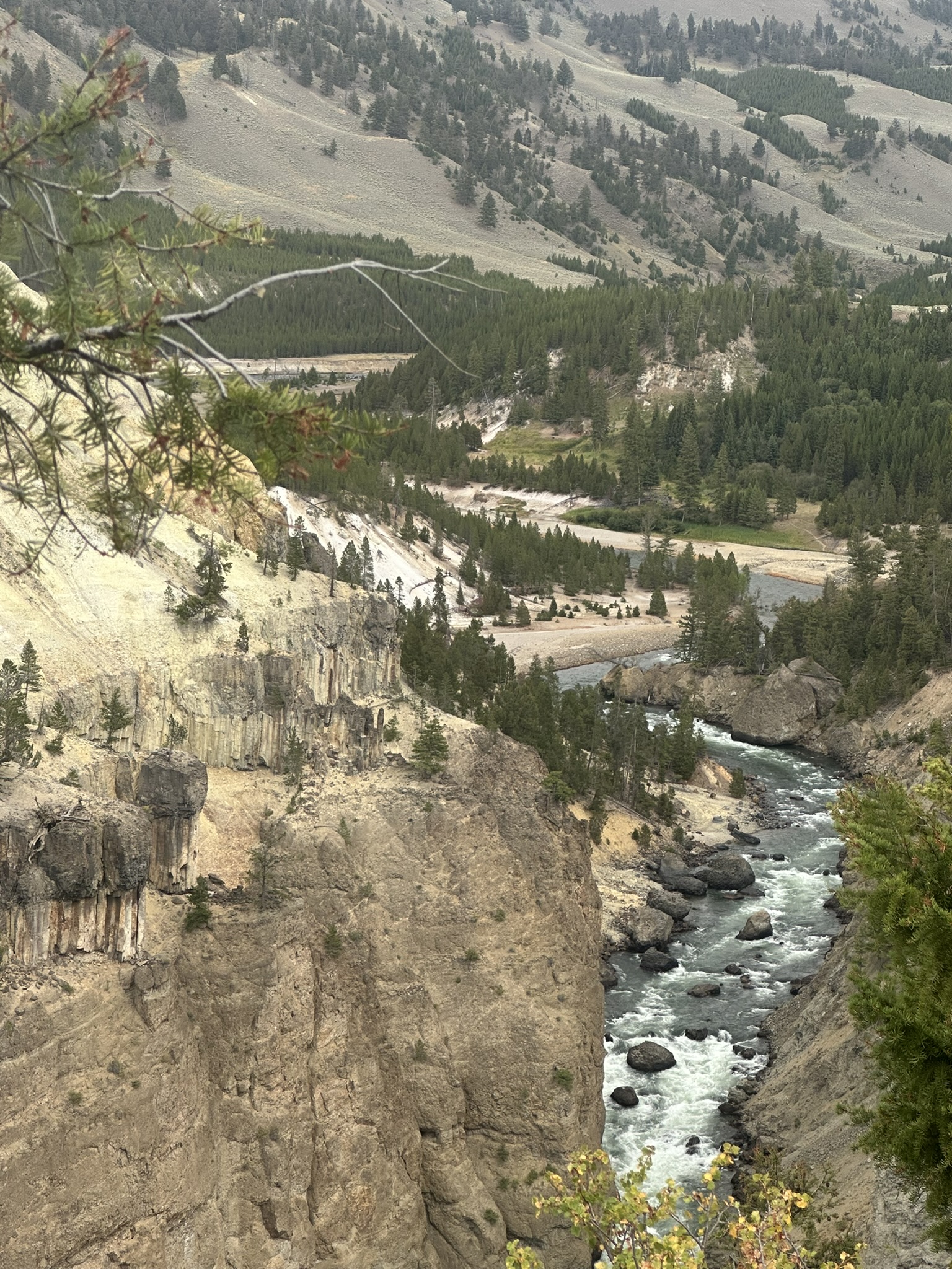 Yellowstone And Grand Teton National Parks - Image 868